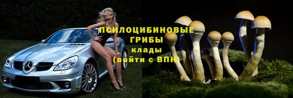 эйфоретик Абинск